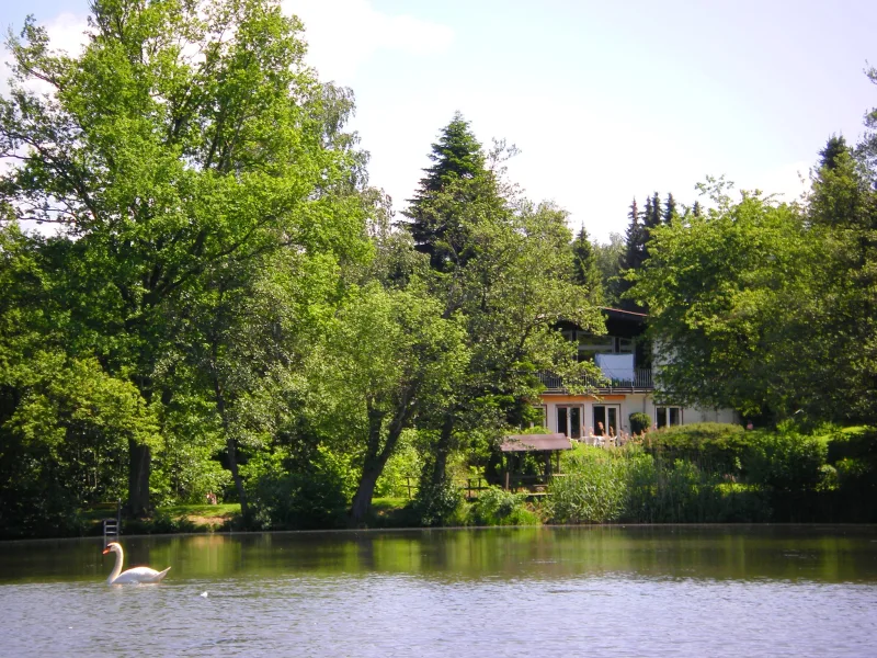 Sommerfoto: Das schöne Zweifamilienhaus direkt am See - Haus kaufen in Mücke - Idyllisch gelegenes Zweifamilienhaus am Windhainer See