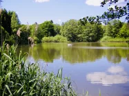 Bootsfahrt auf dem idyllischen See