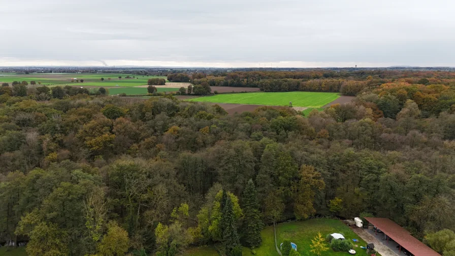 Naturschutzgebiet hinterm Haus