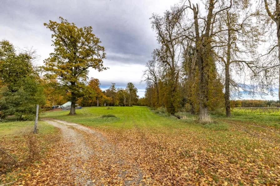 Wald & Wiesen