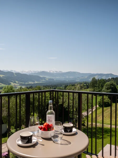 Blick vom Balkon auf Alpenpanorama