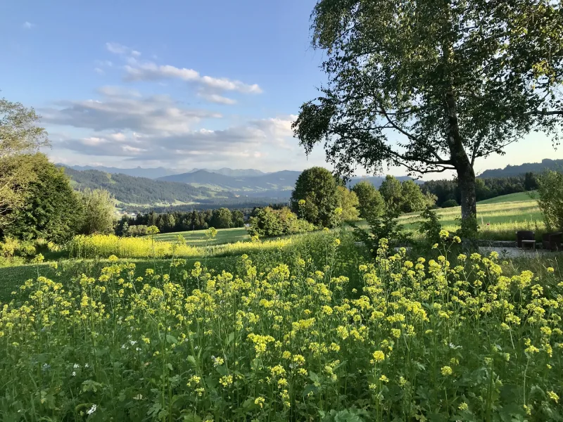 Panoramablick ins Grüne