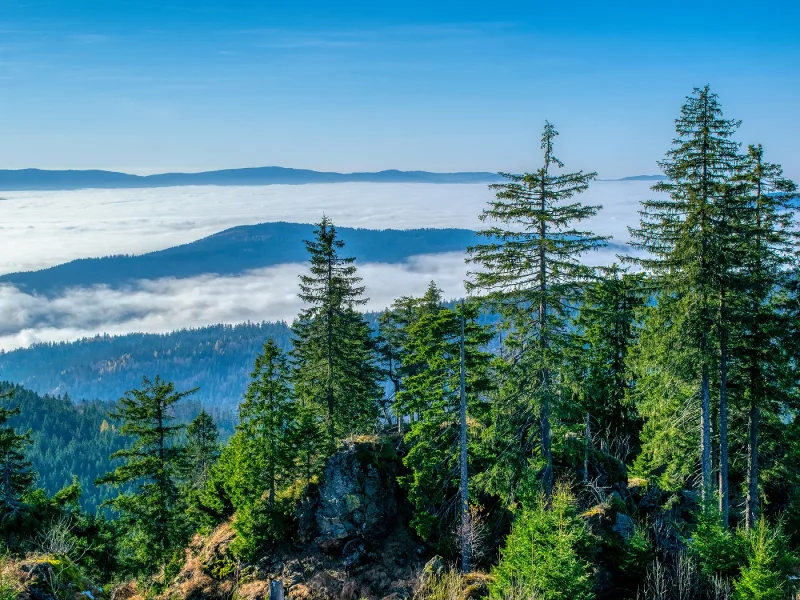 Infotage - Samstag, 05. und Sonntag, 06. August 2023 - Luxus Chalet für ...