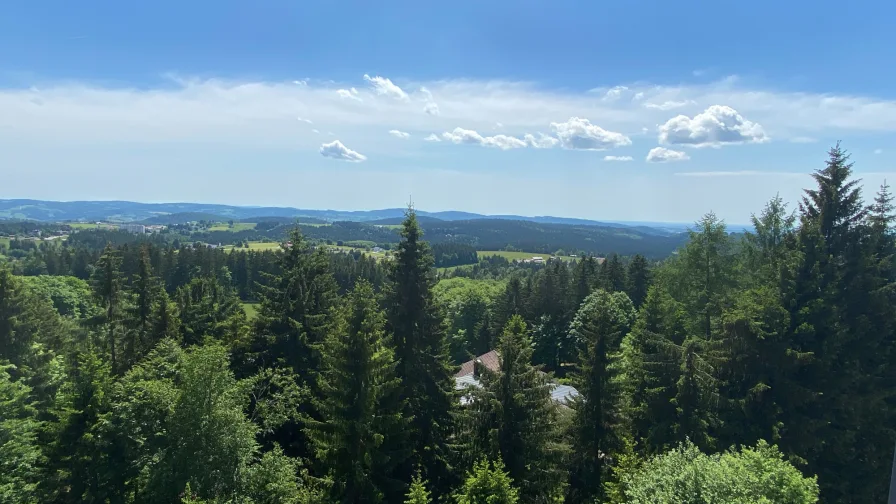 Der atemberaubende Ausblick von dem Balkon über den Bayerischen Wald