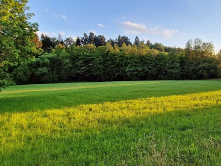 Ansicht von Nord-Ost - Grundstück kaufen in Wittibreut - *** Preisreduzierung 29,65% ***Neu ausgewiesenes, sonnigesBaugrundstück in Wittibreut