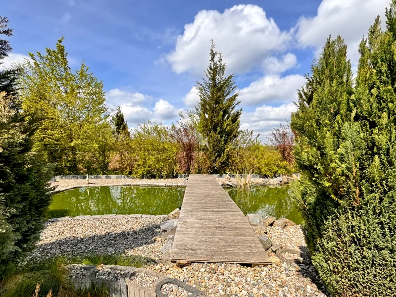 Blick auf den Teich