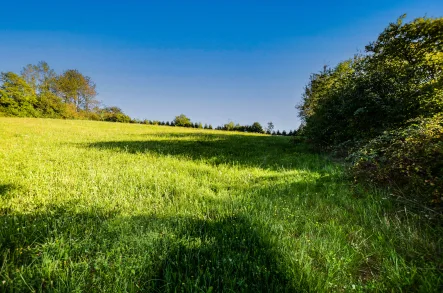 Großes Baugrundstück in Auerbach - Grundstück kaufen in Auerbach - Engolling - Baugrundstück  - 5.218 m² -  aufteilbarPotenzial für 6 EinfamilienhäuserGemeinde Auerbach - Landkreis Deggendorf