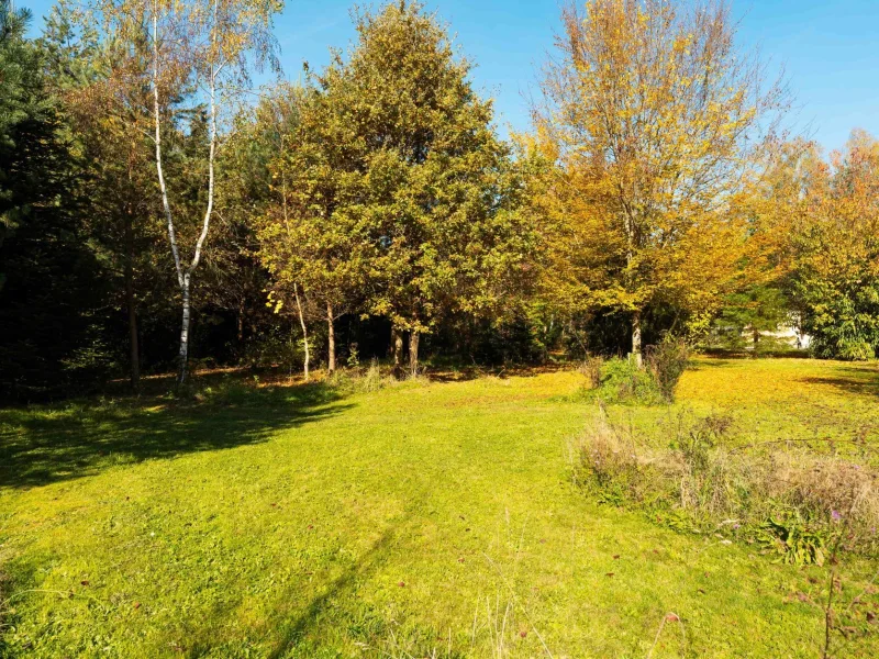 Weitere Wiesenflächen mit Zugang zum eigenen Wald