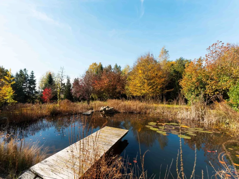 Der Steg zum Naturschwimmteich direkt am Haus