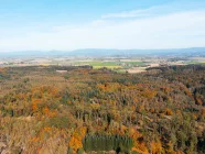 Die Ansicht auf den weitläufigen Wald um das Grundstück herum