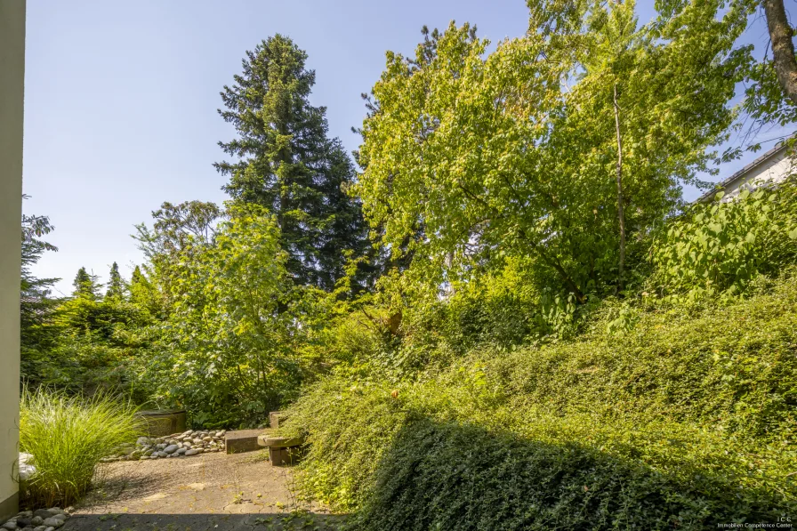 Blick auf den kleinen Garten hinter dem Haus