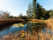 Der zweite Naturschwimmteich im hinteren Teil des Gartens