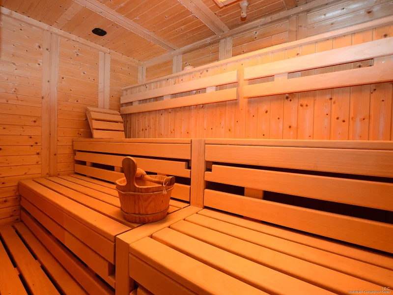 Saunahaus - Viel Platz in der finnischen Sauna mit unterschiedlichen Beleuchtungsmöglichkeiten  - Haus kaufen in Hutthurm - Prag - Großzügiges und lichtdurchflutetes Einfamilienhausmit traumhaftem SPA-Bereich im Nebengebäude in ruhiger Siedlungslage - Nähe (ca. 18 km) Passau