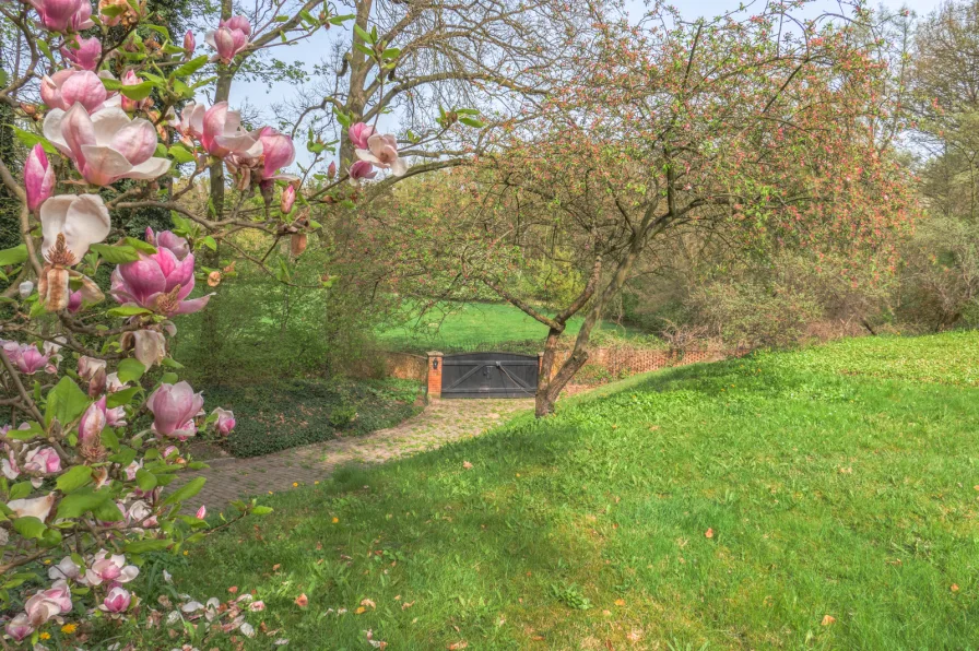 Blick auf die Pferdekoppel (zur Pacht)