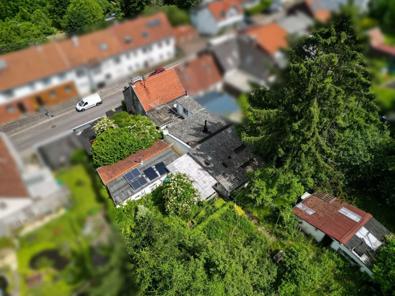 Großzügiges Grundstück mit Altbestand in Riegelsberg