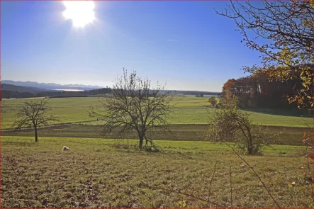 Aussicht Seeblick - Grundstück kaufen in Seefeld - Traumhafte Land- und Forstwirtschaftsfläche zu Verkaufen