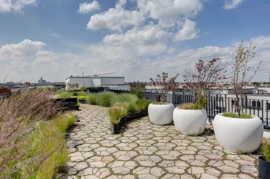 Außergewöhnliche Gemeinschaftsaufdachterrasse