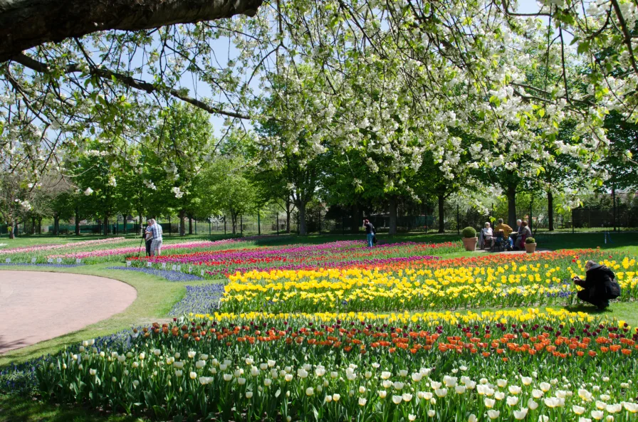 Umgebung Britzer Garten