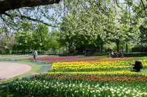 Umgebung Britzer Garten