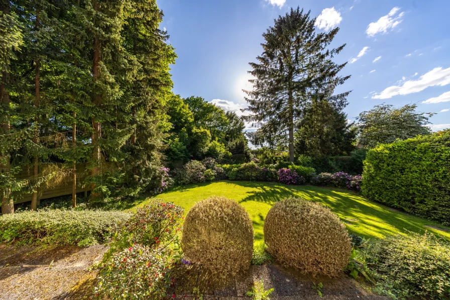 Blick in den Garten