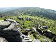 Bayerischer Wald