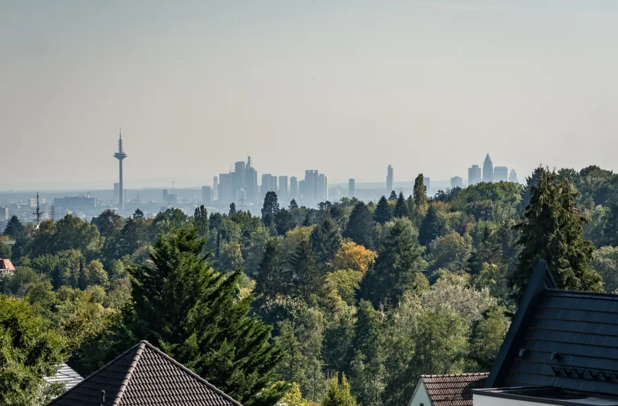 Blick zur Frankfurter Skyline