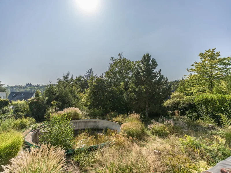 Südgarten mit "ehemaligen Swimmingpool"