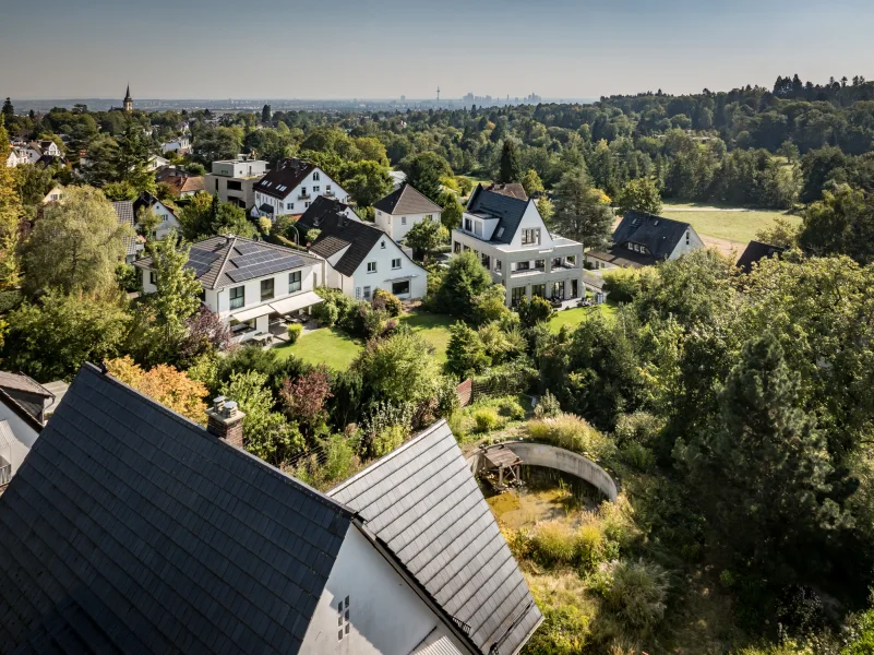 Atemberaubender Weitblick über den Maasgrund zur Frankfurter Skyline