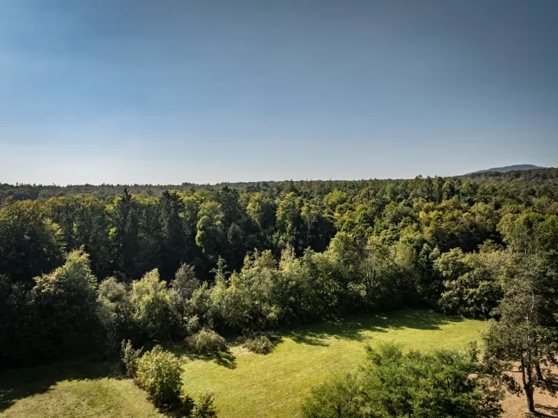 Blick in die Wiesen und Wälder