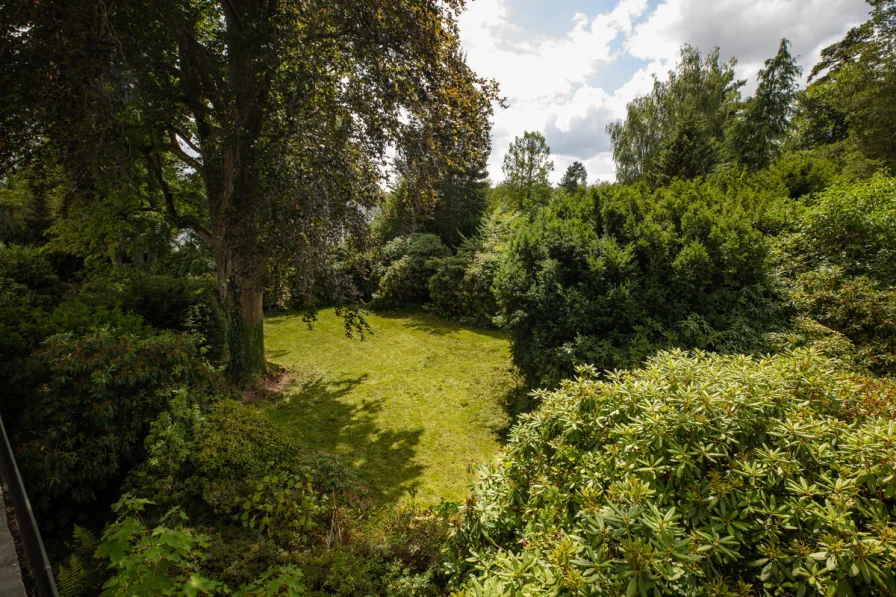 Blick in den Garten