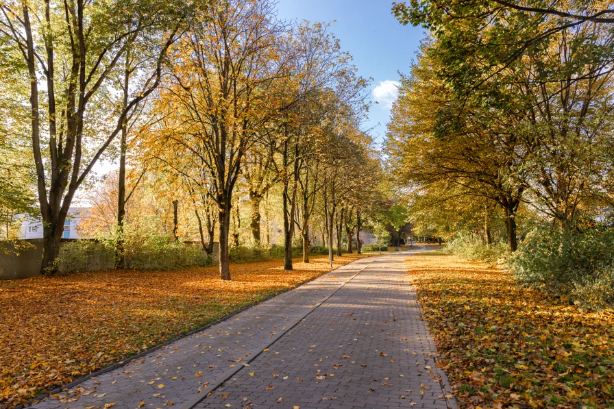 Spazierweg, Outdoor Fitness und Kita fußläufig 