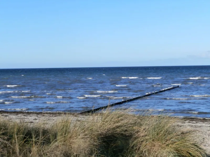 Strandidyll Ostseebad Insel Poel in 20 Minuten