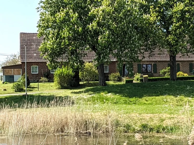 Blick über den Teich zum Haus