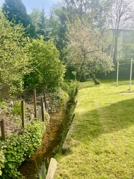 Kleiner hübscher Bachlauf hinter dem Haus