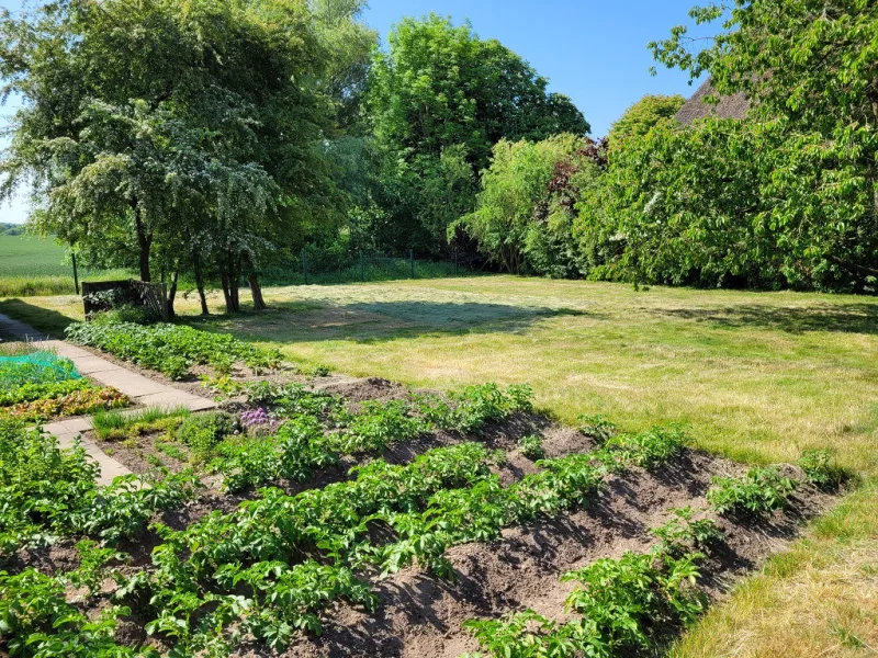 Blick in den großen Garten