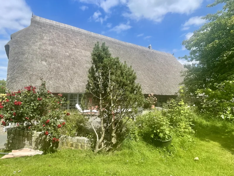 Blick vom seitlichen Garten auf das Haus