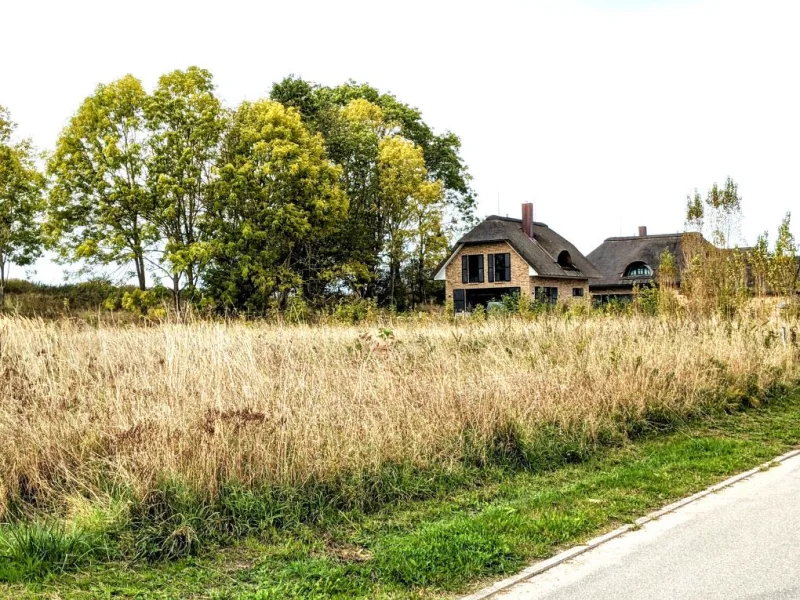 Grundstück straßenseitig - Land- und Forstwirtschaft kaufen in Hohenkirchen - Traumhafte Grundstücke für Ihr neues Zuhause an der Ostsee - erschlossen