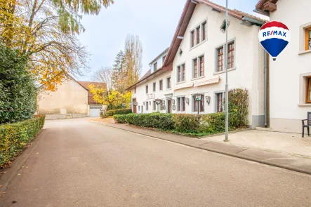 Ansicht - Haus kaufen in Hohentengen - Gasthaus mit zwei Wohnungen und großzügigem Grundstück in Lienheim