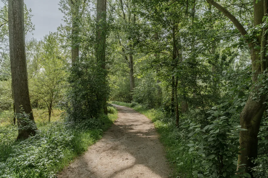 Naturschutzgebiet