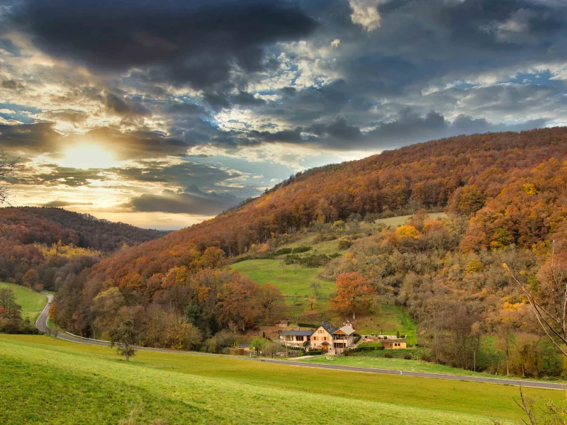 Idylle pur - Haus kaufen in Schweinschied - Das perfekte Haus für Naturliebhaber und die ganze Familie