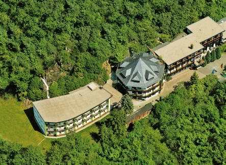 Blick auf das Ensemble - Haus kaufen in Winterburg - Perfektes Hotel - Gästehaus oder auch Umnutzung möglich