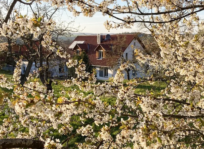 Blick auf "Ihr" neues Zuhause - Haus kaufen in Odernheim - Idyllisch gelegen - exklusiv Wohnen