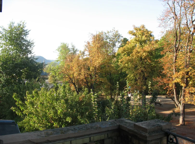 Blick vom Balkon (s/w) in den anliegenden Park