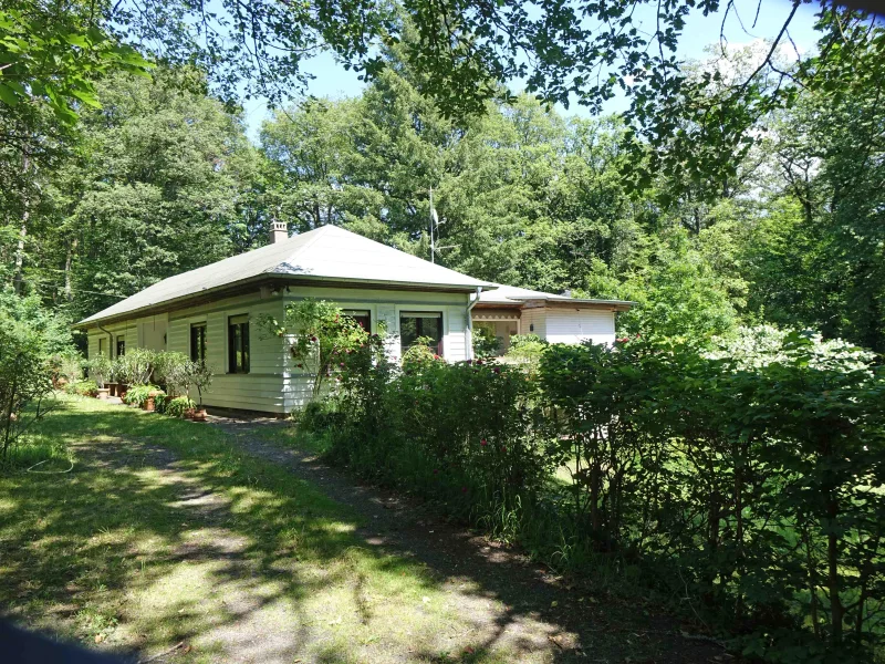 Zufahrt zum Haus - Haus kaufen in Bad Sobernheim - „Neues Leben" inmitten einer grünen Oase