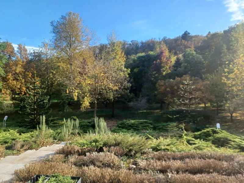 traumhaftes Gartengrundstück