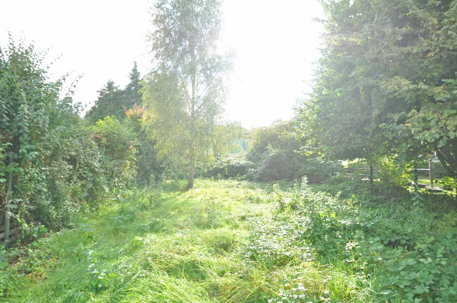 Ein Garten mit vielen Gestaltungsmöglichkeiten