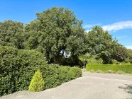 Blick auf den herrlichen Radweg, welcher direkt an das Grundstück angrenzt