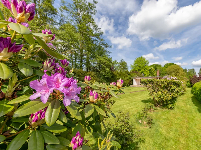 Gartenimpressionen