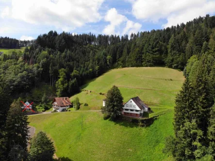  - Haus kaufen in Bad Peterstal-Griesbach - Bauernhaus mit Zweifamilienhaus in sehr ruhiger Halbhöhenlage / Aussenbereich