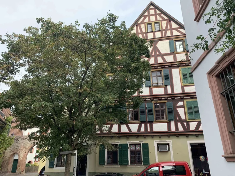 Straßenansicht - Zinshaus/Renditeobjekt kaufen in Ladenburg - Bestlage in der Ladenburger Altstadt! Denkmalgeschütztes Wohn- und Geschäftshaus